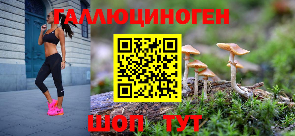 Псилоцибиновые грибы Psilocybine cubensis Людиново
