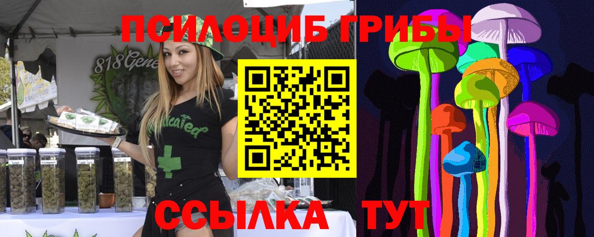 Людиново  Псилоцибиновые грибы Cubensis  Галлюциногенные грибы Cubensis  Вход с VPN 